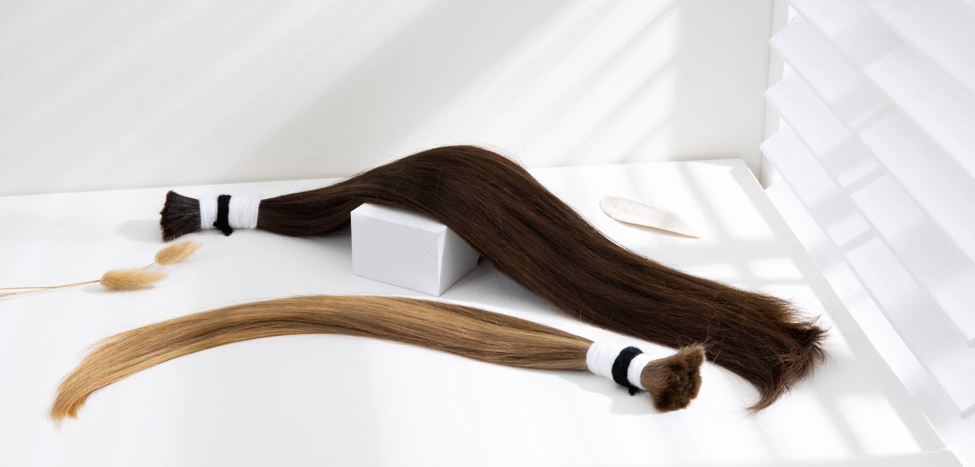 Transformation-banner